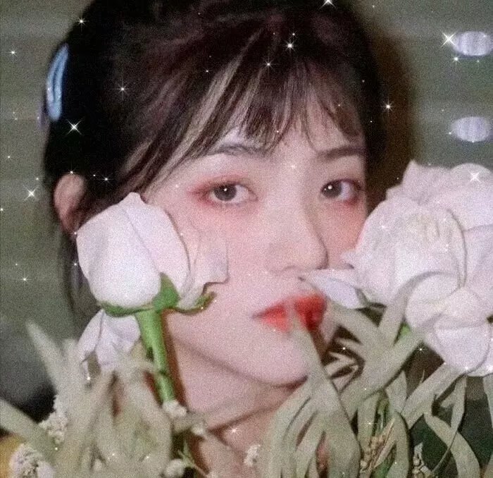 熄灭的日光